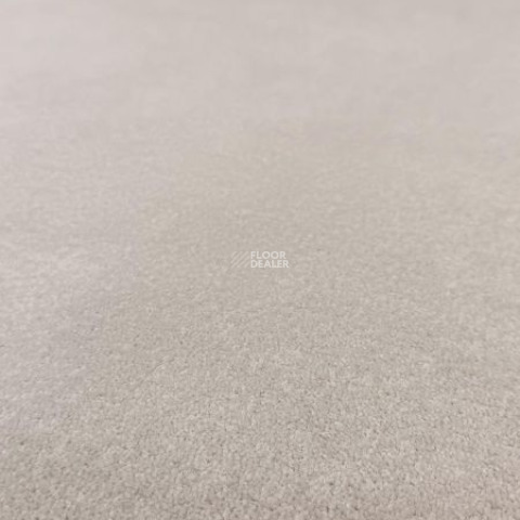 Ковролин Innova Фризе 4003 фото 1 | FLOORDEALER